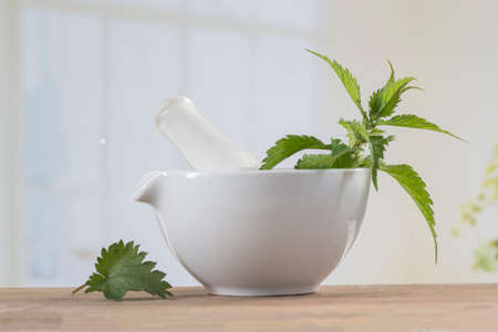 Freshly cut nettles in mortar for herbal medicineの写真素材