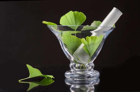 healing plants ginko bilboa with mortar on black backgroundの写真素材