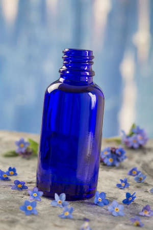 Light blue flowers of Forget-me-not isolated on white backgroundの写真素材