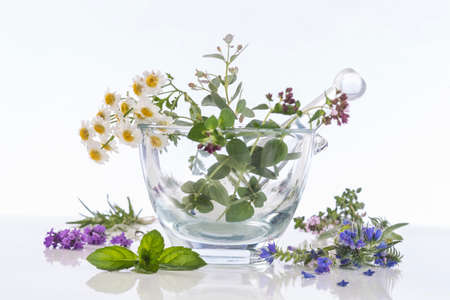 Fresh herbs in glass mortar on white backgroundの写真素材