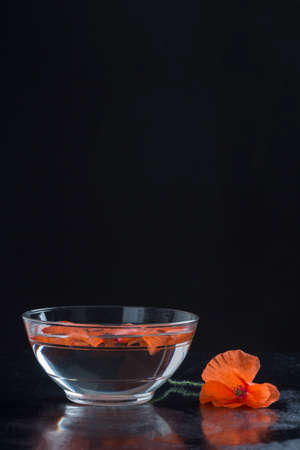 Poppy in glass cup herbal tea preparationの写真素材