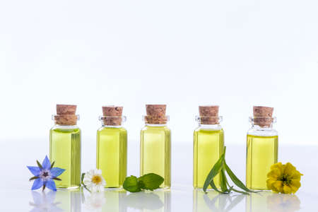 essential oils and medical flowers herbs on whiteの写真素材