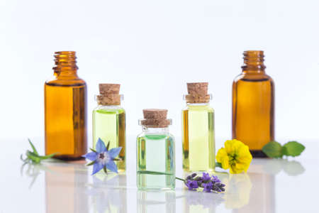 essential oils and medical flowers herbs on whiteの写真素材