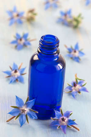 Borage essential oil alternative medicine and edible flowersの写真素材