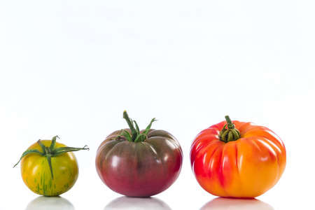 assorted old variety of tomatoes isolated on whiteの写真素材