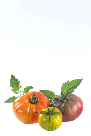 assorted old variety of tomatoes isolated on whiteの写真素材