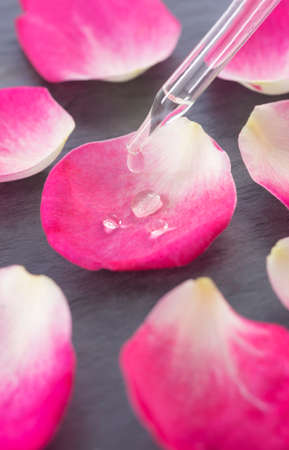 herbal medicine concep with dropper plant petalの写真素材