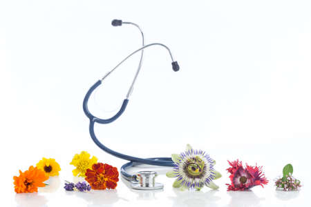 Alternative medicine herbs and stethoscope on white backgroundの写真素材