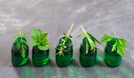 Green Bottle of essential oil with Fresh herbs and medicinal plants on slate backgroundの写真素材