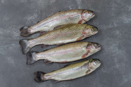 four differnet cght in a white ol slate boardの写真素材