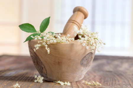 White elder flowers on a wooden mortar for herbal medicineの写真素材