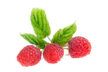 Bunch of a red raspberry isolated on white backgroundの写真素材