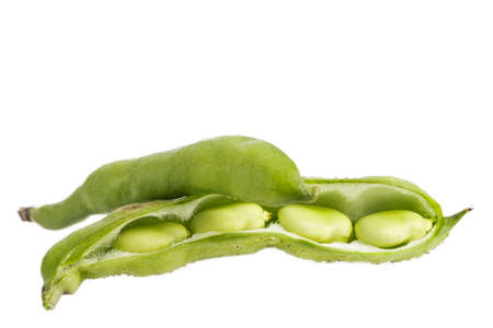 closeup of some broad bean pods and beans on whiteの写真素材