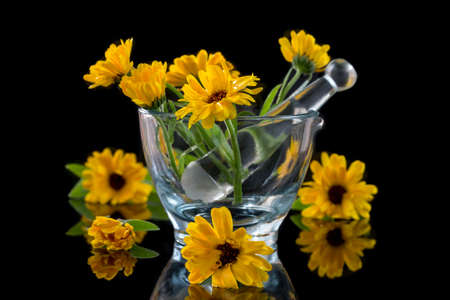 yellow Calendula flowers in a glass mortar on blavkの写真素材