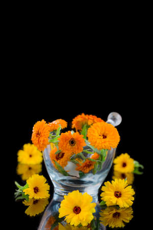 Calendula flowers in mortar on black backgroundの写真素材