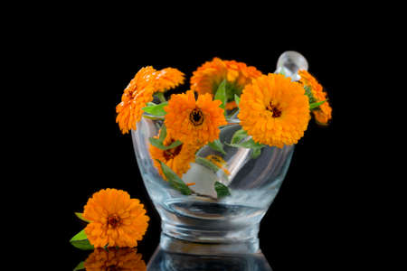 Calendula flowers in mortar on black backgroundの写真素材