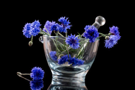 Beautiful blue cornflower in glass mortar isolated on black-の写真素材