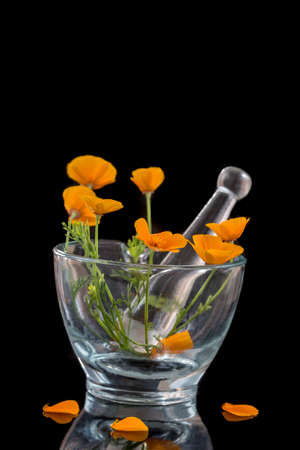 California poppy, Eschscholzia californica in glass mortar , orange flower on black backgroundの写真素材