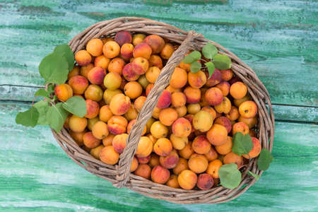 Top view Wicker basket with apricots on a old wooden backgroundの写真素材