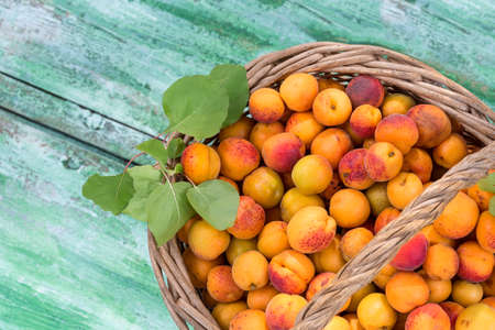 Top view Wicker basket with apricots on a old wooden backgroundの写真素材