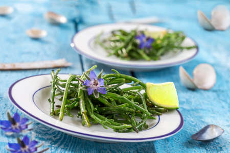 Samphire a coastal herb also known as sea beans glasswort pickleweed or Salicorniaの写真素材