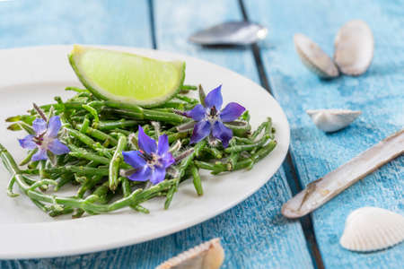 Samphire a coastal herb also known as sea beans glasswort pickleweed or Salicorniaの写真素材