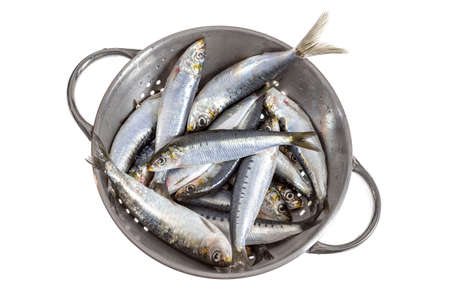 FreshMackerel in sieve, white backgroundの写真素材