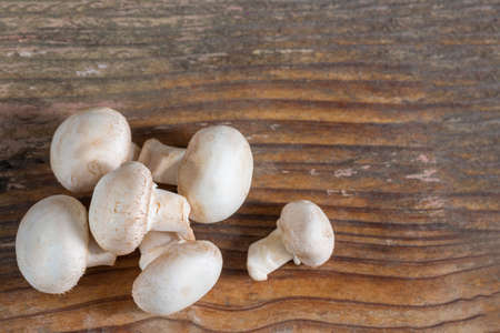 Mushroom champignon isolated on wooden backgroundの写真素材