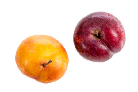 Red and Yellow plum on a white background top viewの写真素材