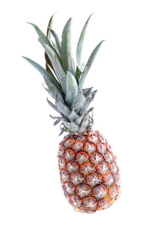 Ripe whole pineapple isolated on white background