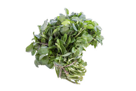 bunch of fresh watercress on white background