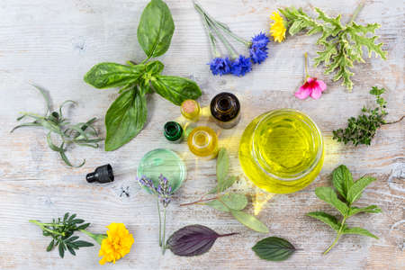 Various fresh herbs and essential oil in the midlle of . fresh medicinal plants . Preparing medicinal plants for phytotherapyand health promotion on old white woodenの写真素材