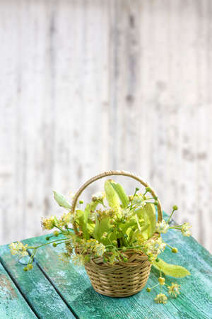 wicker basket with linden flowers on green wooden table on an old blur white backgroundの写真素材