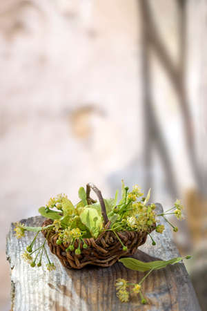wicker basket with linden flowers on grey wooden table on an old blur white background with wood shadowの写真素材