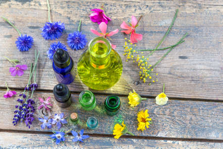 alternative medicine. essential oils and medical flowers herbs top viewの写真素材