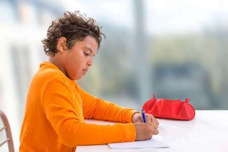 studious child. schoolboy,doing homework