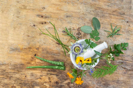 Herb leaf selection of golden thyme, oregano, purple sage, mint and rosemary in flower in a rustic...