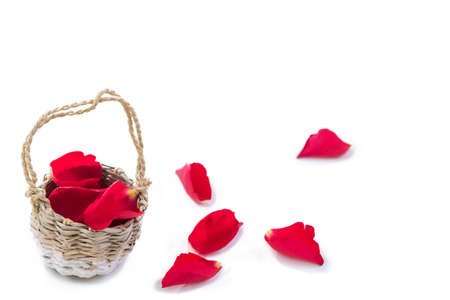 Wicker Basket of Red Petals Rose, with some on the ground on White Background, Valentines Day Love Romance Wedding Feast Concept of Love Symbol of Luxury Tenderness, Spa,の写真素材