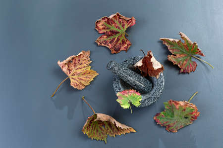 vine leaves in a stone mortar on grey slate background