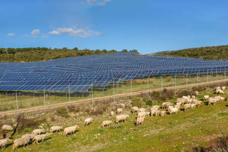 Solar Panel Park. Energy, ecology,save the planetteの写真素材