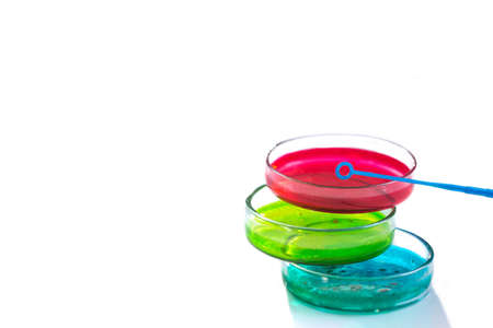 Group of Petri dishes with a colored liquids.