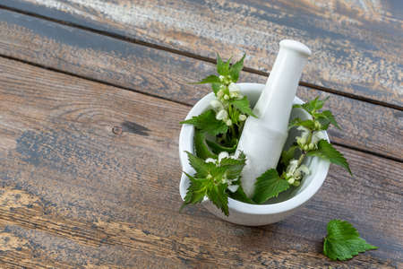 White nettle with mortar and pestle isolated on white backgroundの写真素材