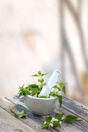 White nettle with mortar and pestle isolated on white backgroundの写真素材