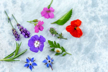 concept of homeopathic pills with homeopathy granules and medicinal flowers and plantson a grey wooden backgroundの写真素材