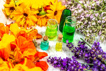 Herbal essential oil skincare bottle with plants and herbs, alternative medicine organic skincareの写真素材