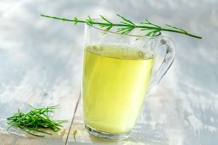 Alternative Medicine. Herbal Therapy. Horsetail infusion in glass cup. grey backgroundの写真素材