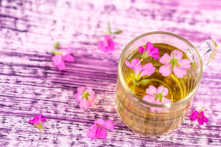 A cup of mallow tea with fresh blooming malva sylvestris plant against pink wooden backgroundの写真素材