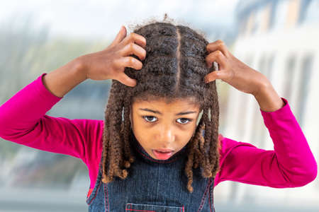 girl itchy her hair on indoors background, health care conceptの写真素材