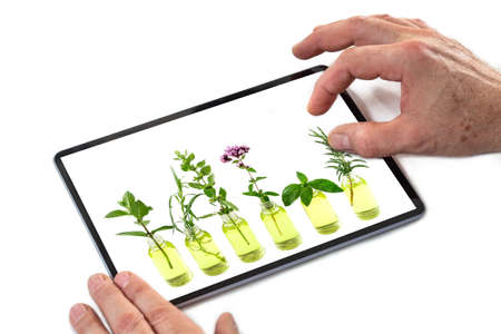 Alternative Medicine Health Herb Therapy Concept search on internet