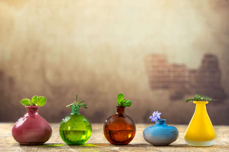 Glass and Ceramic essential oil bottles with herbs on table against a old degraded wall backgroundの写真素材